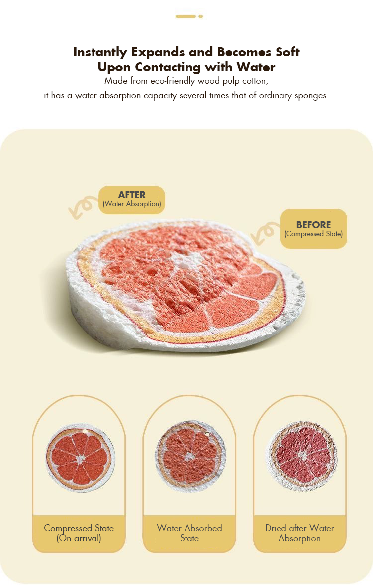 Wood Pulp Sponge