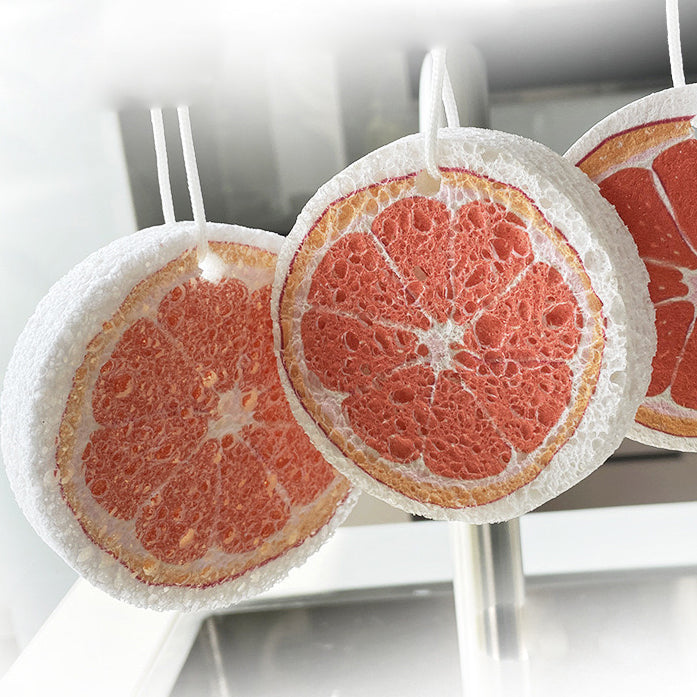 Wood Pulp Sponge