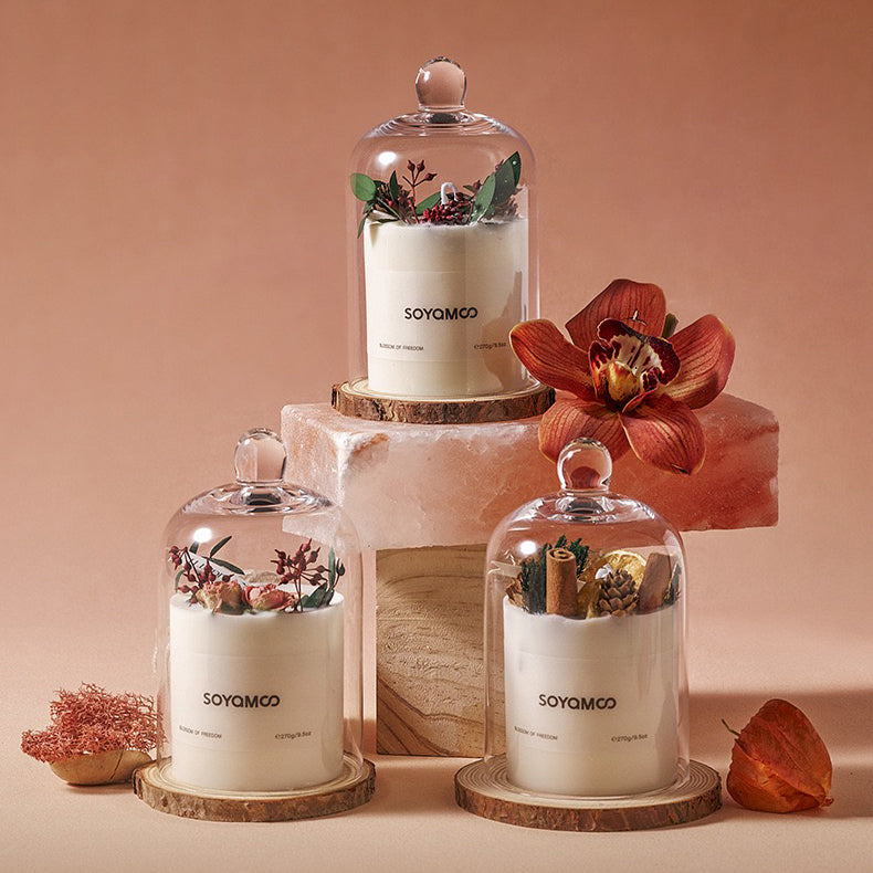 Decorative Soy Candle with Glass Cloche – 270g