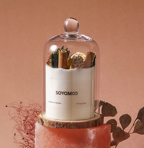 Decorative Soy Candle with Glass Cloche – 270g