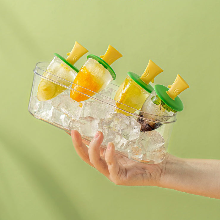 Silicone Ice Pop Mould with Container (4 Pops)