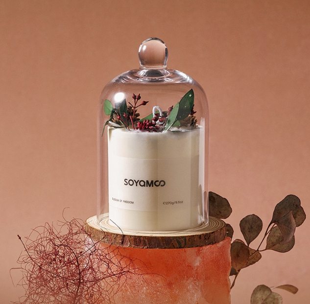 Decorative Soy Candle with Glass Cloche – 270g
