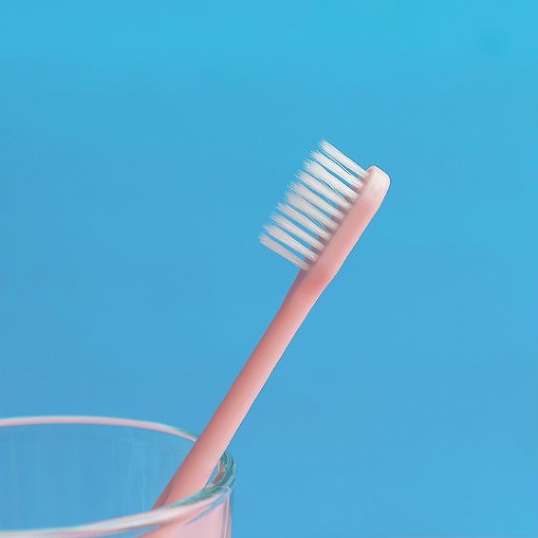 Adult Soft Toothbrushes 10pcs Set